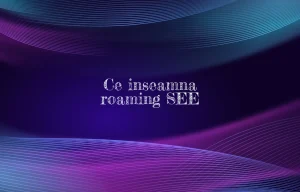 ce inseamna roaming see