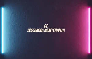 ce inseamna mentenanta