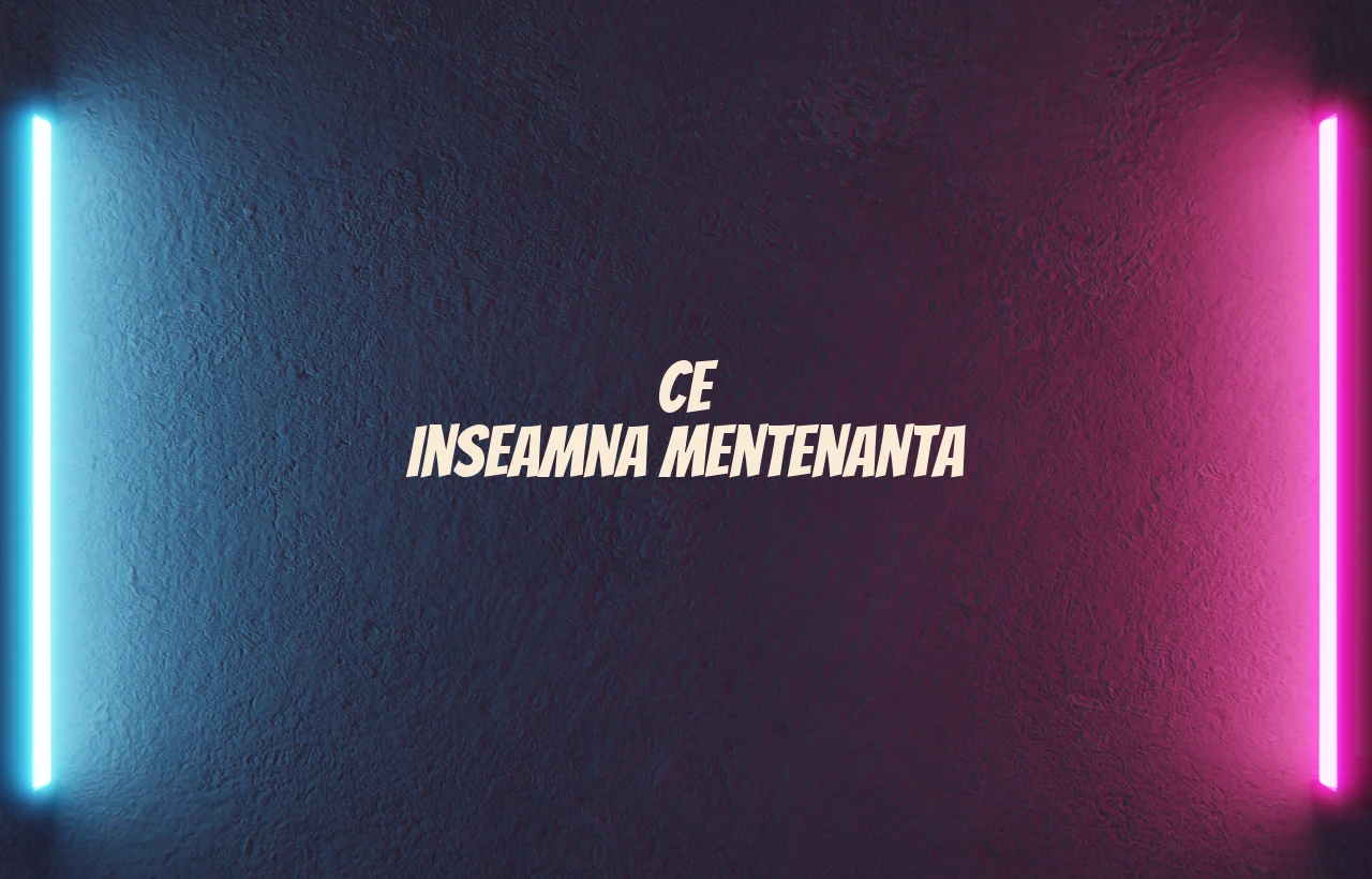 ce inseamna mentenanta