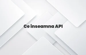 ce inseamna api