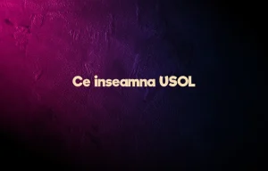 ce inseamna usol