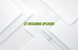ce inseamna upgrade