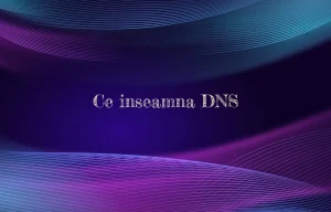 ce inseamna dns